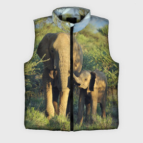 Мужской жилет утепленный 3D с принтом Слониха и слоненок в природе в Петрозаводске,  |  | Тематика изображения на принте: африка | африканский | бивни | большой | гигант джунгли | зоопарк | индийский | индия | лесной великан | мамонт | огромный | саванна | сафари | серый | слон | слоненок | слониха | стадо | уши | хобот
