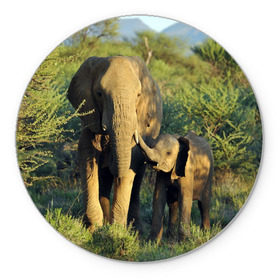 Коврик круглый с принтом Слониха и слоненок в природе в Петрозаводске, резина и полиэстер | круглая форма, изображение наносится на всю лицевую часть | африка | африканский | бивни | большой | гигант джунгли | зоопарк | индийский | индия | лесной великан | мамонт | огромный | саванна | сафари | серый | слон | слоненок | слониха | стадо | уши | хобот
