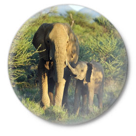 Значок с принтом Слониха и слоненок в природе в Петрозаводске,  металл | круглая форма, металлическая застежка в виде булавки | Тематика изображения на принте: африка | африканский | бивни | большой | гигант джунгли | зоопарк | индийский | индия | лесной великан | мамонт | огромный | саванна | сафари | серый | слон | слоненок | слониха | стадо | уши | хобот