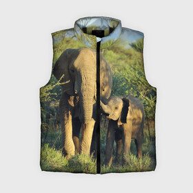 Женский жилет утепленный 3D с принтом Слониха и слоненок в природе в Петрозаводске,  |  | африка | африканский | бивни | большой | гигант джунгли | зоопарк | индийский | индия | лесной великан | мамонт | огромный | саванна | сафари | серый | слон | слоненок | слониха | стадо | уши | хобот