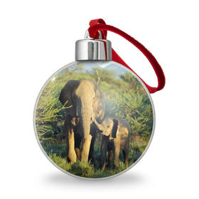 Ёлочный шар с принтом Слониха и слоненок в природе в Петрозаводске, Пластик | Диаметр: 77 мм | Тематика изображения на принте: африка | африканский | бивни | большой | гигант джунгли | зоопарк | индийский | индия | лесной великан | мамонт | огромный | саванна | сафари | серый | слон | слоненок | слониха | стадо | уши | хобот