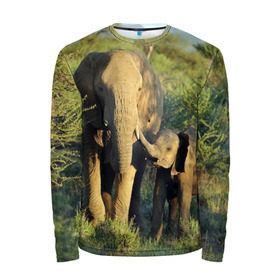 Мужской лонгслив 3D с принтом Слониха и слоненок в природе в Петрозаводске, 100% полиэстер | длинные рукава, круглый вырез горловины, полуприлегающий силуэт | африка | африканский | бивни | большой | гигант джунгли | зоопарк | индийский | индия | лесной великан | мамонт | огромный | саванна | сафари | серый | слон | слоненок | слониха | стадо | уши | хобот