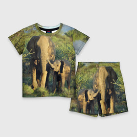 Детский костюм с шортами 3D с принтом Слониха и слоненок в природе в Петрозаводске,  |  | африка | африканский | бивни | большой | гигант джунгли | зоопарк | индийский | индия | лесной великан | мамонт | огромный | саванна | сафари | серый | слон | слоненок | слониха | стадо | уши | хобот