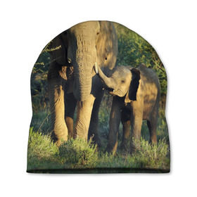 Шапка 3D с принтом Слониха и слоненок в природе в Петрозаводске, 100% полиэстер | универсальный размер, печать по всей поверхности изделия | африка | африканский | бивни | большой | гигант джунгли | зоопарк | индийский | индия | лесной великан | мамонт | огромный | саванна | сафари | серый | слон | слоненок | слониха | стадо | уши | хобот