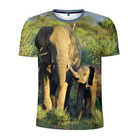 Мужская футболка 3D спортивная с принтом Слониха и слоненок в природе в Петрозаводске, 100% полиэстер с улучшенными характеристиками | приталенный силуэт, круглая горловина, широкие плечи, сужается к линии бедра | Тематика изображения на принте: африка | африканский | бивни | большой | гигант джунгли | зоопарк | индийский | индия | лесной великан | мамонт | огромный | саванна | сафари | серый | слон | слоненок | слониха | стадо | уши | хобот