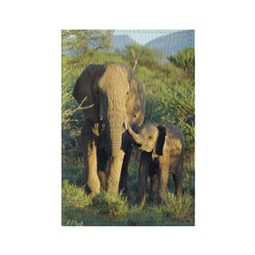 Обложка для паспорта матовая кожа с принтом Слониха и слоненок в природе в Петрозаводске, натуральная матовая кожа | размер 19,3 х 13,7 см; прозрачные пластиковые крепления | Тематика изображения на принте: африка | африканский | бивни | большой | гигант джунгли | зоопарк | индийский | индия | лесной великан | мамонт | огромный | саванна | сафари | серый | слон | слоненок | слониха | стадо | уши | хобот