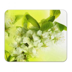 Коврик прямоугольный с принтом Цветы яблони в Петрозаводске, натуральный каучук | размер 230 х 185 мм; запечатка лицевой стороны | Тематика изображения на принте: белый | весна | дерево | зеленый | природа | растения | цветы | яблоня