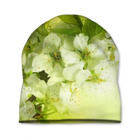 Шапка 3D с принтом Цветы яблони в Петрозаводске, 100% полиэстер | универсальный размер, печать по всей поверхности изделия | Тематика изображения на принте: белый | весна | дерево | зеленый | природа | растения | цветы | яблоня
