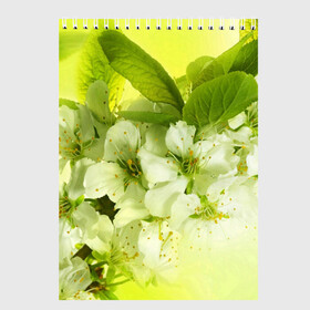 Скетчбук с принтом Цветы яблони в Петрозаводске, 100% бумага
 | 48 листов, плотность листов — 100 г/м2, плотность картонной обложки — 250 г/м2. Листы скреплены сверху удобной пружинной спиралью | белый | весна | дерево | зеленый | природа | растения | цветы | яблоня