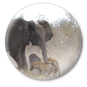 Значок с принтом Гиены охотятся на слона в Петрозаводске,  металл | круглая форма, металлическая застежка в виде булавки | африка | африканский | бивни | большой | гигант джунгли | гиены | индийский | индия | лесной великан | мамонт | огромный | охота | саванна | сафари | серый | слон | слониха | стадо | уши | хобот