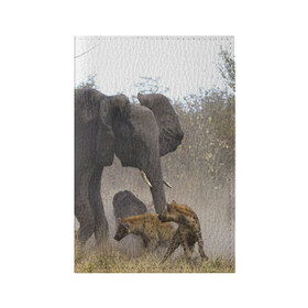 Обложка для паспорта матовая кожа с принтом Гиены охотятся на слона в Петрозаводске, натуральная матовая кожа | размер 19,3 х 13,7 см; прозрачные пластиковые крепления | Тематика изображения на принте: африка | африканский | бивни | большой | гигант джунгли | гиены | индийский | индия | лесной великан | мамонт | огромный | охота | саванна | сафари | серый | слон | слониха | стадо | уши | хобот