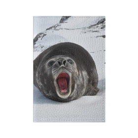 Обложка для паспорта матовая кожа с принтом Морской котик в Петрозаводске, натуральная матовая кожа | размер 19,3 х 13,7 см; прозрачные пластиковые крепления | антарктида | антарктика | большой | вода | гигант | жир | кот | котик | ледовитый | море | мороз | морской | нос | огромный | океан | пасть | север | серый | слониха | снег | тюлень | усы | холод | язык