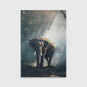 Обложка для паспорта матовая кожа с принтом Слон в лесу в Петрозаводске, натуральная матовая кожа | размер 19,3 х 13,7 см; прозрачные пластиковые крепления | Тематика изображения на принте: африка | африканский | бивни | большой | гигант джунгли | зоопарк | индийский | индия | лесной великан | мамонт | огромный | саванна | сафари | серый | слон | слоненок | слониха | стадо | уши | хобот
