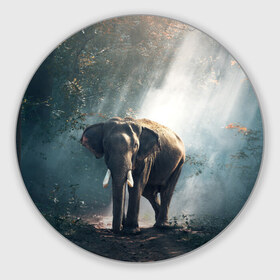 Коврик круглый с принтом Слон в лесу в Петрозаводске, резина и полиэстер | круглая форма, изображение наносится на всю лицевую часть | африка | африканский | бивни | большой | гигант джунгли | зоопарк | индийский | индия | лесной великан | мамонт | огромный | саванна | сафари | серый | слон | слоненок | слониха | стадо | уши | хобот