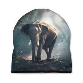 Шапка 3D с принтом Слон в лесу в Петрозаводске, 100% полиэстер | универсальный размер, печать по всей поверхности изделия | африка | африканский | бивни | большой | гигант джунгли | зоопарк | индийский | индия | лесной великан | мамонт | огромный | саванна | сафари | серый | слон | слоненок | слониха | стадо | уши | хобот