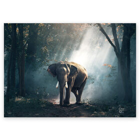 Поздравительная открытка с принтом Слон в лесу в Петрозаводске, 100% бумага | плотность бумаги 280 г/м2, матовая, на обратной стороне линовка и место для марки
 | африка | африканский | бивни | большой | гигант джунгли | зоопарк | индийский | индия | лесной великан | мамонт | огромный | саванна | сафари | серый | слон | слоненок | слониха | стадо | уши | хобот