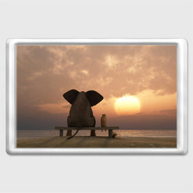 Магнит 45*70 с принтом Слон с собакой на лавке, закат в Петрозаводске, Пластик | Размер: 78*52 мм; Размер печати: 70*45 | 