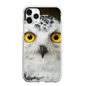 Чехол для iPhone 11 Pro матовый с принтом Белый филин в Петрозаводске, Силикон |  | глаза | клюв | когти | крылья | лес | летать | мудрая | мудрость | неясыть | ночная | ночь | охота | перья | полярная | почтовая | птица | серая | сова | совенок | сон | сыч | умная | филин | хищник