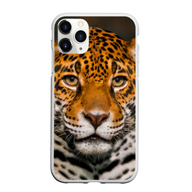 Чехол для iPhone 11 Pro Max матовый с принтом Jaguar в Петрозаводске, Силикон |  | Тематика изображения на принте: глаза | дикая кошка | кошка | леопард | сафари | хищник | ягуар