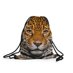 Рюкзак-мешок 3D с принтом Jaguar в Петрозаводске, 100% полиэстер | плотность ткани — 200 г/м2, размер — 35 х 45 см; лямки — толстые шнурки, застежка на шнуровке, без карманов и подкладки | глаза | дикая кошка | кошка | леопард | сафари | хищник | ягуар