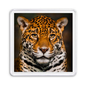 Магнит 55*55 с принтом Jaguar в Петрозаводске, Пластик | Размер: 65*65 мм; Размер печати: 55*55 мм | Тематика изображения на принте: глаза | дикая кошка | кошка | леопард | сафари | хищник | ягуар