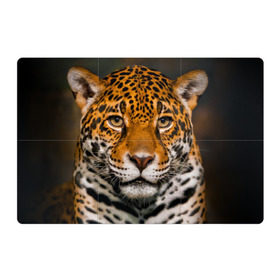 Магнитный плакат 3Х2 с принтом Jaguar в Петрозаводске, Полимерный материал с магнитным слоем | 6 деталей размером 9*9 см | Тематика изображения на принте: глаза | дикая кошка | кошка | леопард | сафари | хищник | ягуар