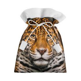 Подарочный 3D мешок с принтом Jaguar в Петрозаводске, 100% полиэстер | Размер: 29*39 см | Тематика изображения на принте: глаза | дикая кошка | кошка | леопард | сафари | хищник | ягуар