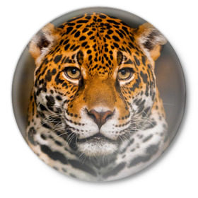 Значок с принтом Jaguar в Петрозаводске,  металл | круглая форма, металлическая застежка в виде булавки | Тематика изображения на принте: глаза | дикая кошка | кошка | леопард | сафари | хищник | ягуар
