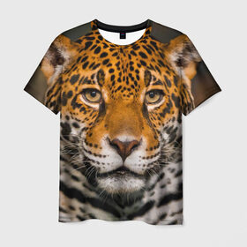 Мужская футболка 3D с принтом Jaguar в Петрозаводске, 100% полиэфир | прямой крой, круглый вырез горловины, длина до линии бедер | Тематика изображения на принте: глаза | дикая кошка | кошка | леопард | сафари | хищник | ягуар