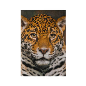 Обложка для паспорта матовая кожа с принтом Jaguar в Петрозаводске, натуральная матовая кожа | размер 19,3 х 13,7 см; прозрачные пластиковые крепления | глаза | дикая кошка | кошка | леопард | сафари | хищник | ягуар