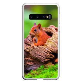 Чехол для Samsung Galaxy S10 с принтом Белка в Петрозаводске, Силикон | Область печати: задняя сторона чехла, без боковых панелей | белка | животные | лес | милая | природа | яркая