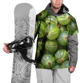 Накидка на куртку 3D с принтом Крыжовник в Петрозаводске, 100% полиэстер |  | Тематика изображения на принте: еда | зеленый | крыжовник | растения | текстура | фрукты | ягоды