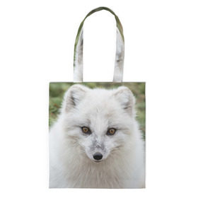 Сумка 3D повседневная с принтом White Fox в Петрозаводске, 100% полиэстер | Плотность: 200 г/м2; Размер: 34×35 см; Высота лямок: 30 см | fox | red | лиса | лисенок | рыжая