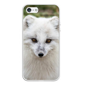 Чехол для iPhone 5/5S матовый с принтом White Fox в Петрозаводске, Силикон | Область печати: задняя сторона чехла, без боковых панелей | fox | red | лиса | лисенок | рыжая