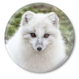 Значок с принтом White Fox в Петрозаводске,  металл | круглая форма, металлическая застежка в виде булавки | Тематика изображения на принте: fox | red | лиса | лисенок | рыжая
