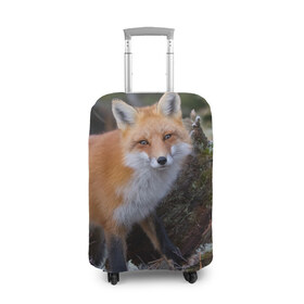 Чехол для чемодана 3D с принтом Лес в Петрозаводске, 86% полиэфир, 14% спандекс | двустороннее нанесение принта, прорези для ручек и колес | fox | red | лиса | лисенок | рыжая