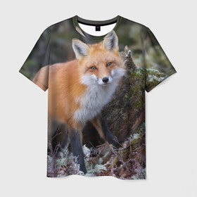 Мужская футболка 3D с принтом Лес в Петрозаводске, 100% полиэфир | прямой крой, круглый вырез горловины, длина до линии бедер | fox | red | лиса | лисенок | рыжая