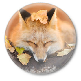Значок с принтом Соня в Петрозаводске,  металл | круглая форма, металлическая застежка в виде булавки | Тематика изображения на принте: fox | red | лиса | лисенок | рыжая