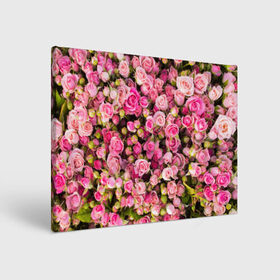 Холст прямоугольный с принтом Розовый рай в Петрозаводске, 100% ПВХ |  | бутон | лепестки | роза | розовый | розочка | цветок | цветы