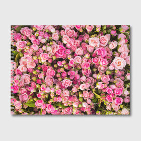 Альбом для рисования с принтом Розовый рай в Петрозаводске, 100% бумага
 | матовая бумага, плотность 200 мг. | бутон | лепестки | роза | розовый | розочка | цветок | цветы