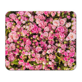 Коврик прямоугольный с принтом Розовый рай в Петрозаводске, натуральный каучук | размер 230 х 185 мм; запечатка лицевой стороны | бутон | лепестки | роза | розовый | розочка | цветок | цветы