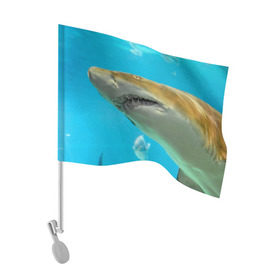Флаг для автомобиля с принтом Тигровая акула в Петрозаводске, 100% полиэстер | Размер: 30*21 см | голубое море | океан | рыба