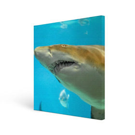 Холст квадратный с принтом Тигровая акула в Петрозаводске, 100% ПВХ |  | голубое море | океан | рыба