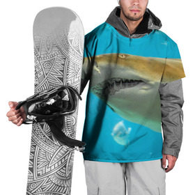 Накидка на куртку 3D с принтом Тигровая акула в Петрозаводске, 100% полиэстер |  | голубое море | океан | рыба