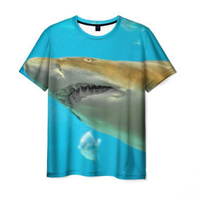 Мужская футболка 3D с принтом Тигровая акула в Петрозаводске, 100% полиэфир | прямой крой, круглый вырез горловины, длина до линии бедер | голубое море | океан | рыба