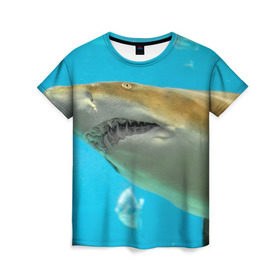 Женская футболка 3D с принтом Тигровая акула в Петрозаводске, 100% полиэфир ( синтетическое хлопкоподобное полотно) | прямой крой, круглый вырез горловины, длина до линии бедер | голубое море | океан | рыба