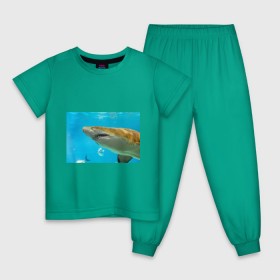 Детская пижама хлопок с принтом Тигровая акула в Петрозаводске, 100% хлопок |  брюки и футболка прямого кроя, без карманов, на брюках мягкая резинка на поясе и по низу штанин
 | голубое море | океан | рыба