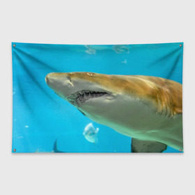 Флаг-баннер с принтом Тигровая акула в Петрозаводске, 100% полиэстер | размер 67 х 109 см, плотность ткани — 95 г/м2; по краям флага есть четыре люверса для крепления | голубое море | океан | рыба