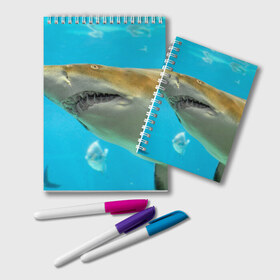 Блокнот с принтом Тигровая акула в Петрозаводске, 100% бумага | 48 листов, плотность листов — 60 г/м2, плотность картонной обложки — 250 г/м2. Листы скреплены удобной пружинной спиралью. Цвет линий — светло-серый
 | голубое море | океан | рыба
