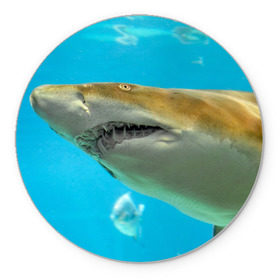 Коврик круглый с принтом Тигровая акула в Петрозаводске, резина и полиэстер | круглая форма, изображение наносится на всю лицевую часть | голубое море | океан | рыба